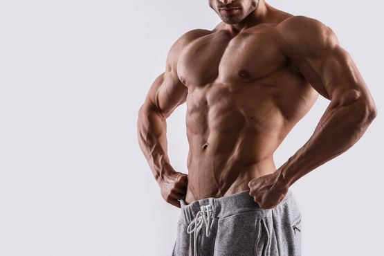 Cialis 20 mg Eli Lilly y su Uso en Musculación Cialis 20 mg Eli Lilly y su Uso en Musculación
